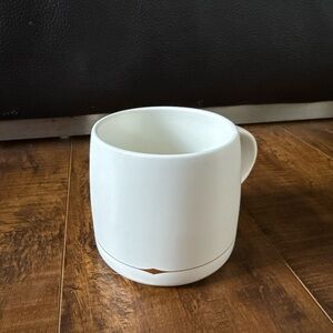 Magenta Classic White Mug